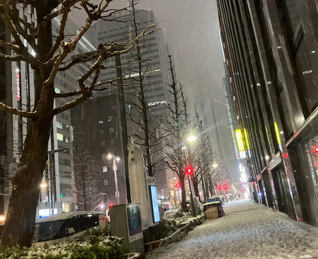 今天东京下起了大雪，大家都不约而同拍摄了这个场景。为什么大家都这么熟练啊！的配图