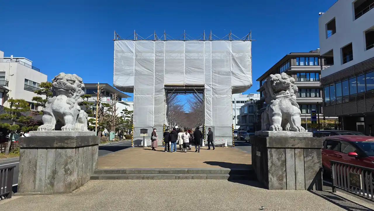 20250224_111606.jpg