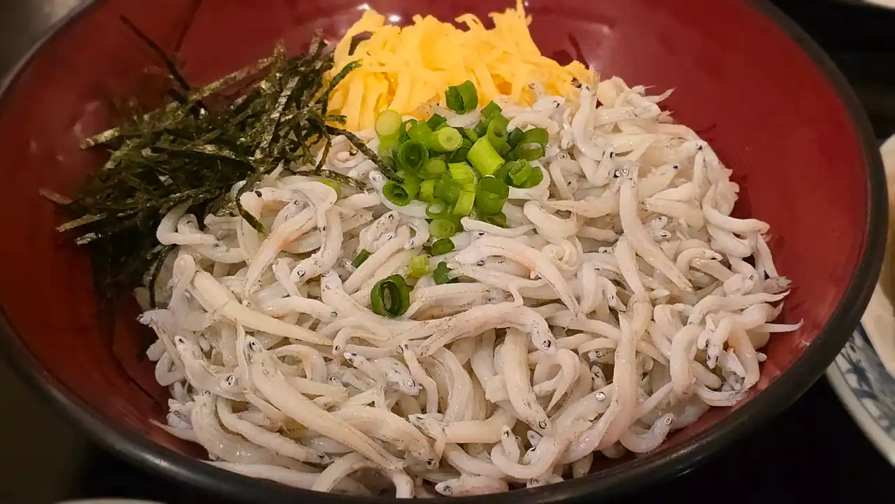 20250224_123730.jpg