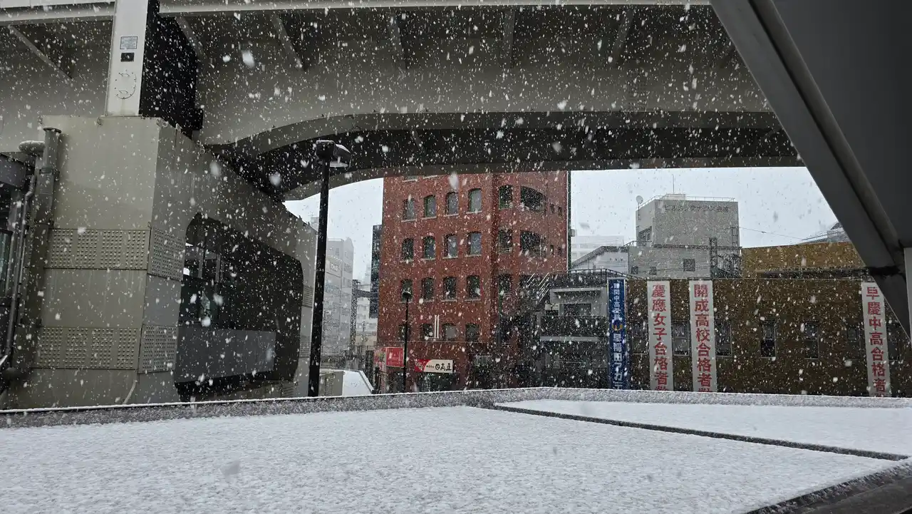 1000025266