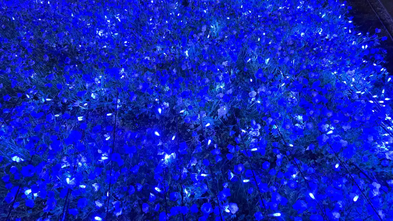 20250412_201919