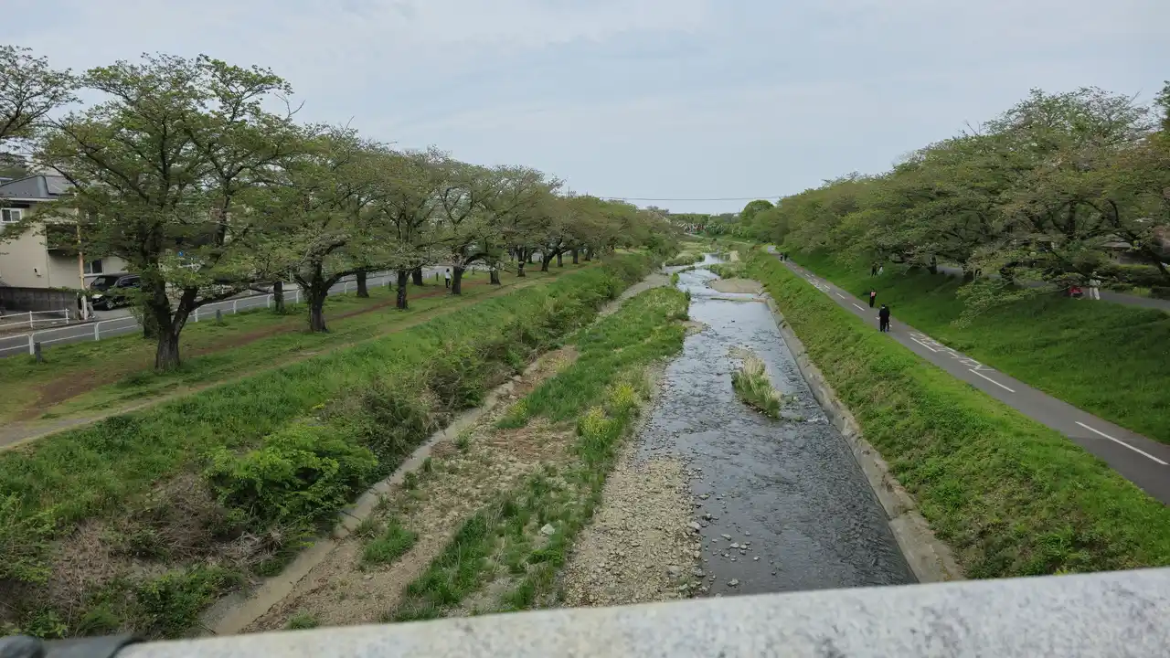 20250420_155130.jpg