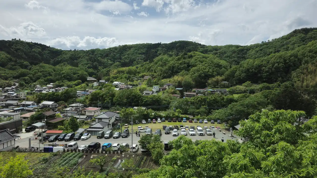 20250510_140600.jpg