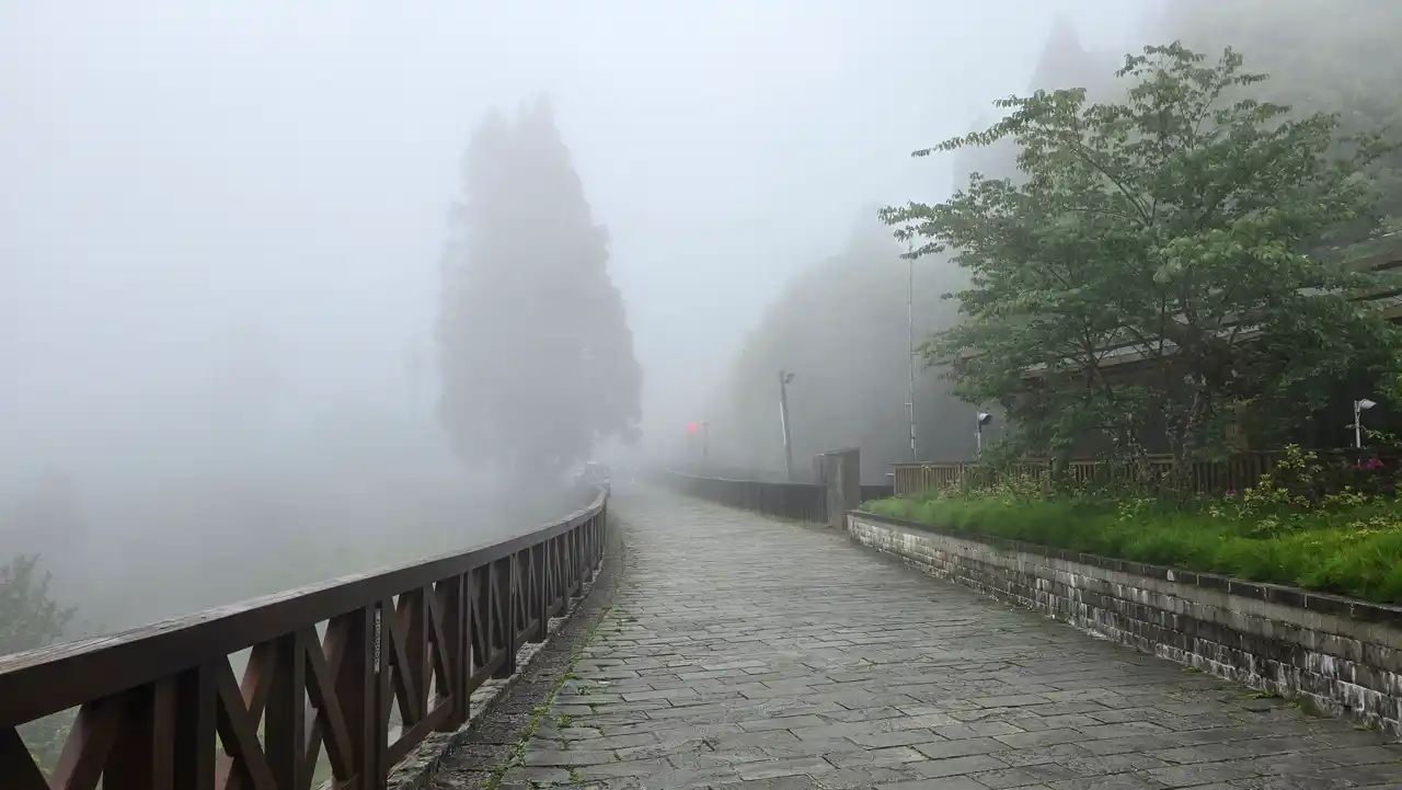 20250501_141125.jpg