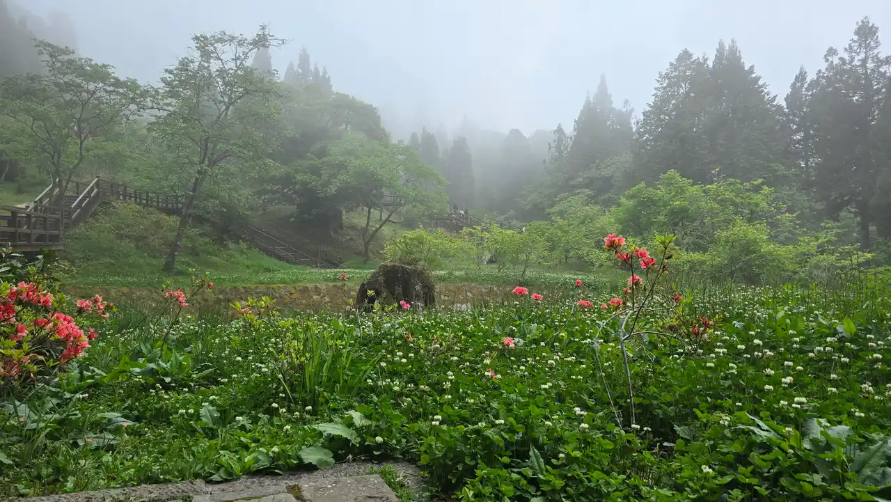 20250501_144736.jpg