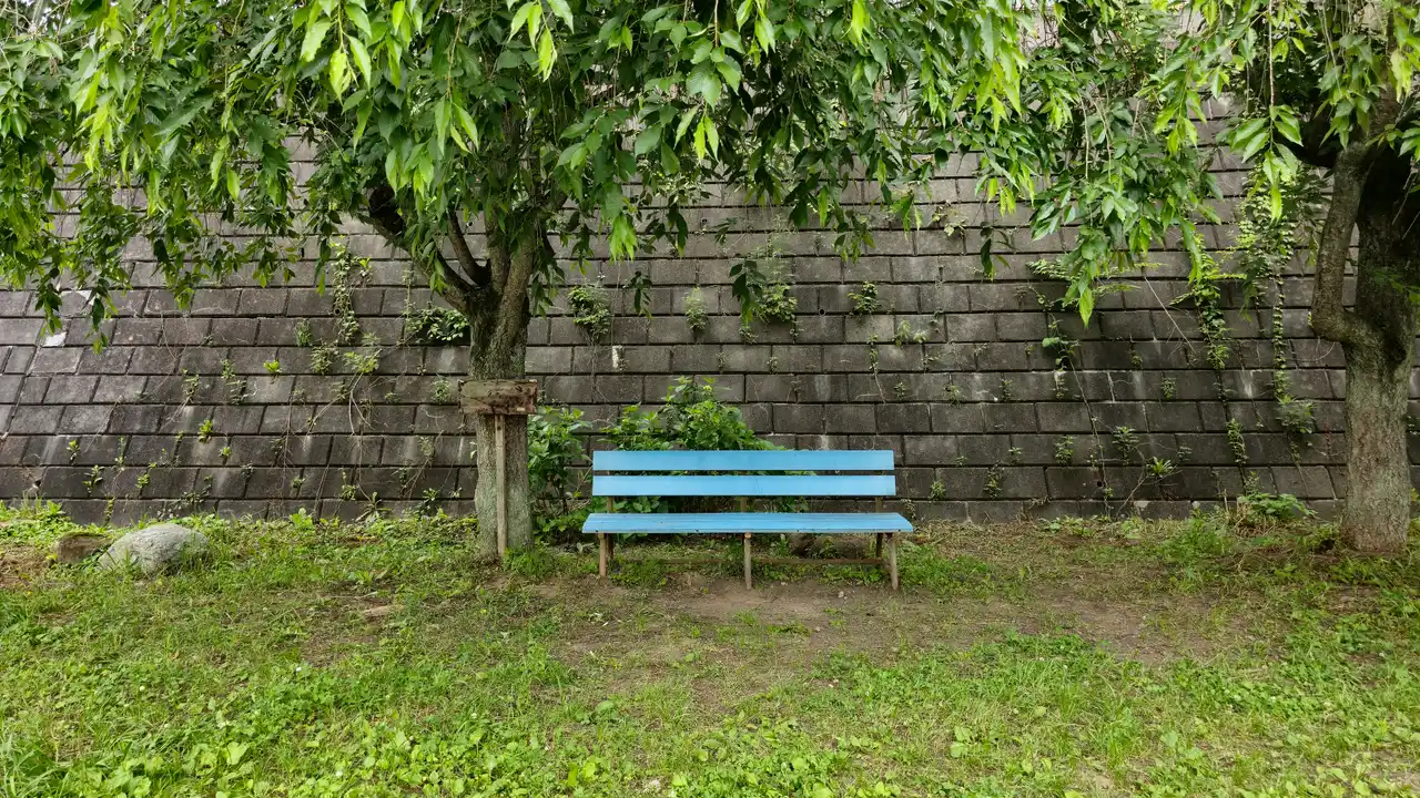 20250608_143510.jpg