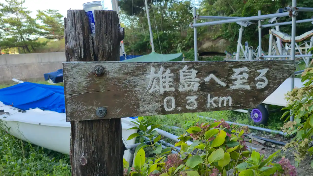 20250914_160327.jpg