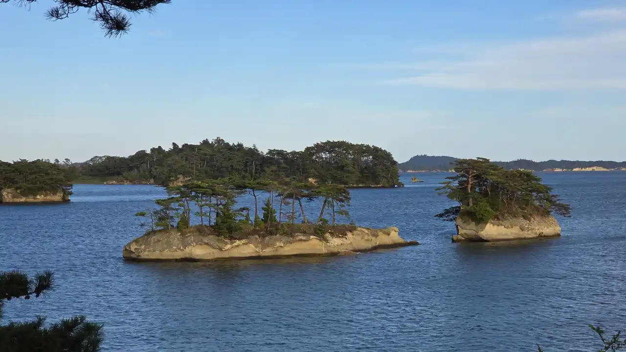 20250914_162036.jpg