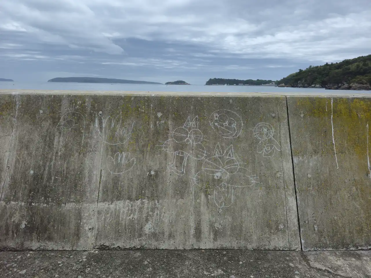 20250915_095157.jpg