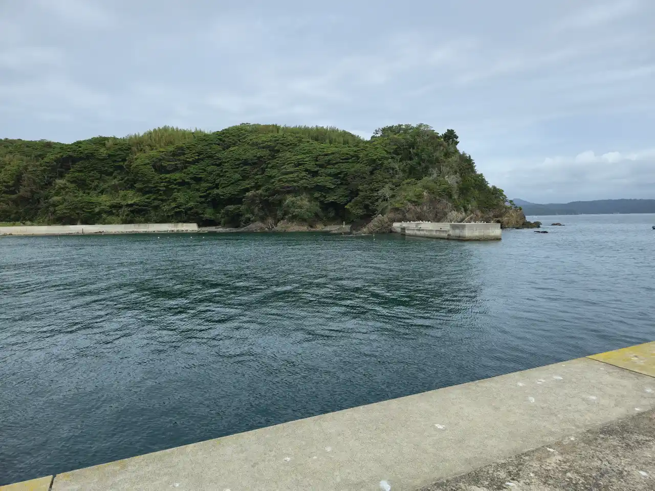 20250915_095256.jpg