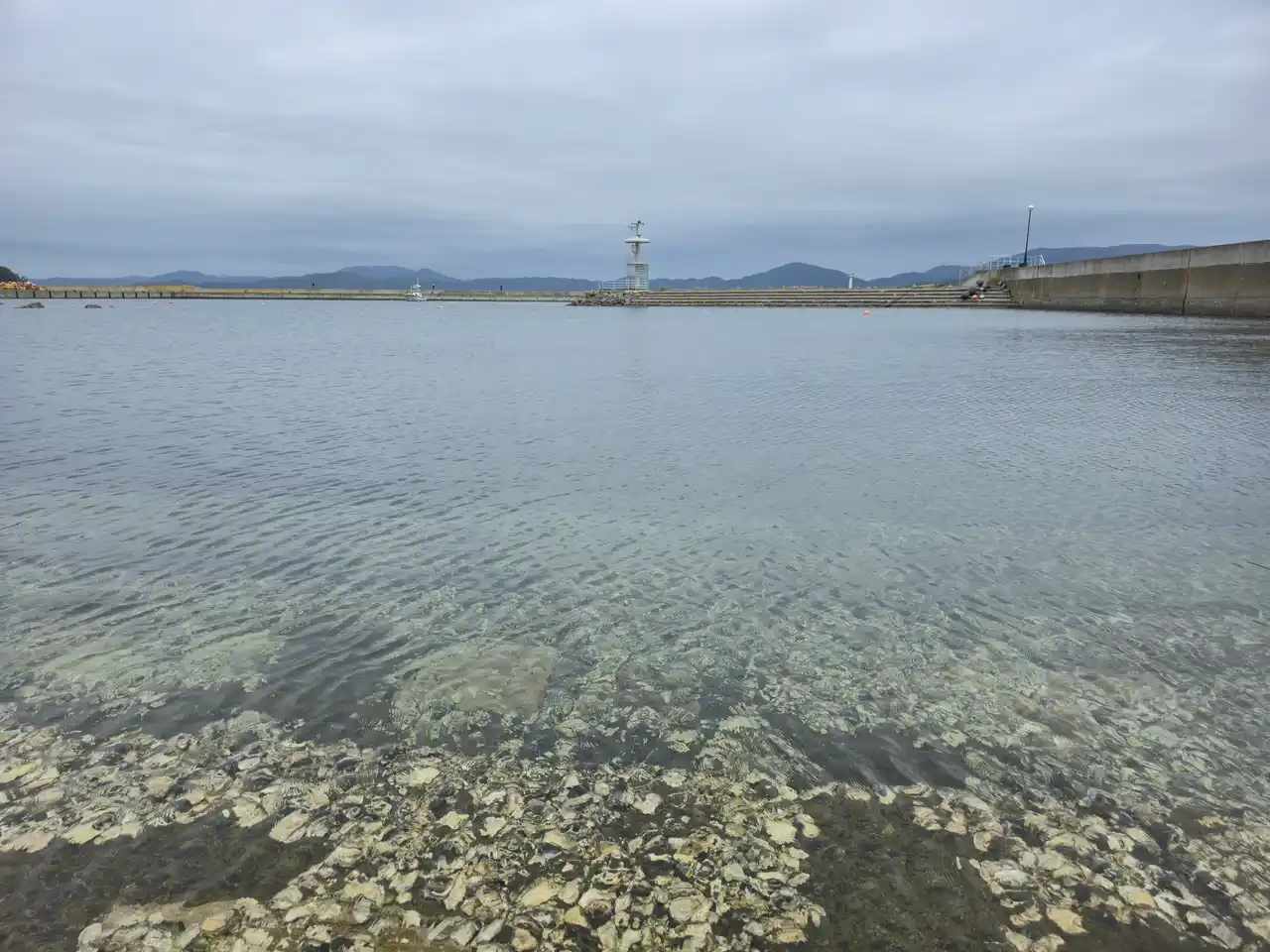 20250915_124601.jpg