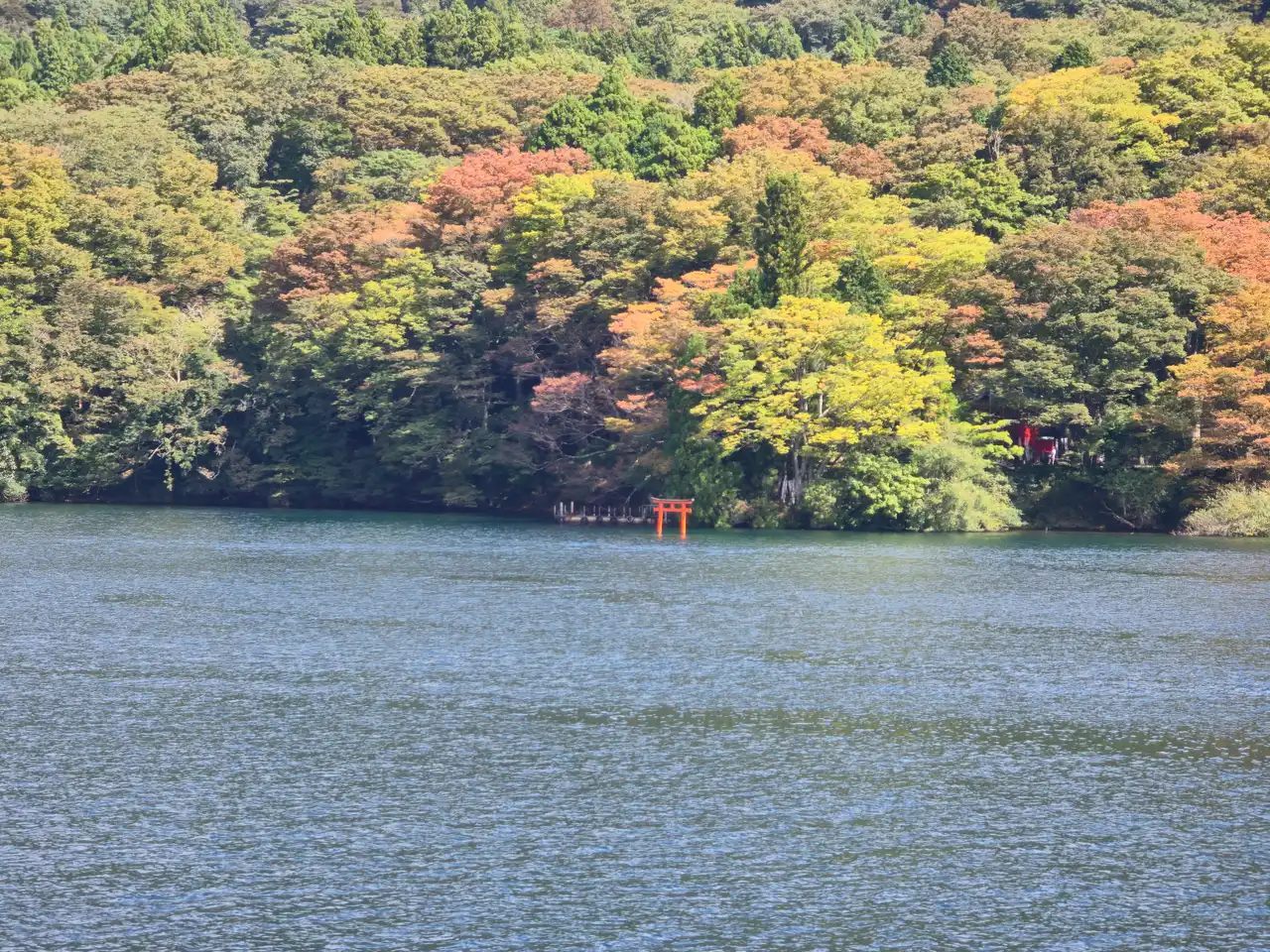 20261012_110921.jpg
