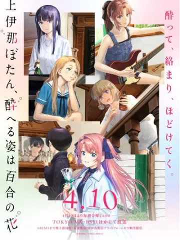 上伊那牡丹,酒醉身姿似百合花般