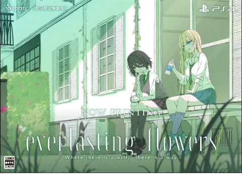 everlasting flowers